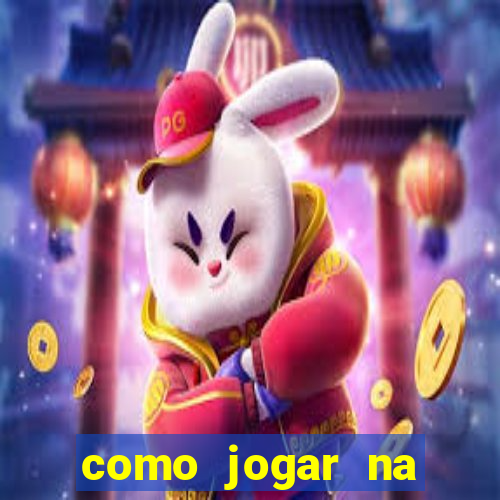 como jogar na lotinha do jogo do bicho